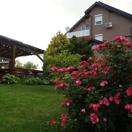 Apartments And Rooms Kristina Dreznik Grad Exterior photo