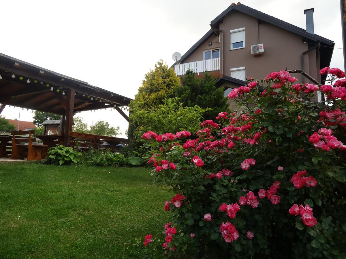 Apartments And Rooms Kristina Dreznik Grad Exterior photo